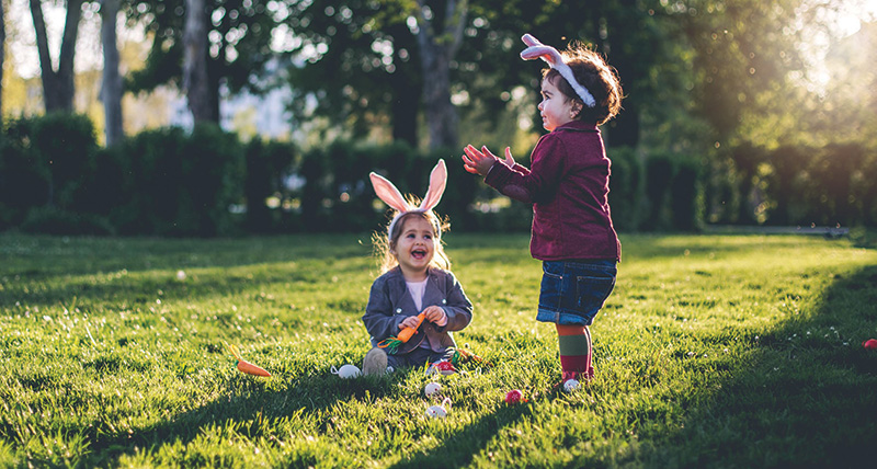 PSN Post Autumn 2026