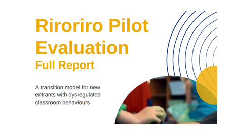 The Riroriro Pilot project evaluation